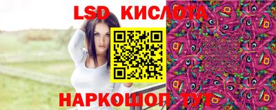 твердый Камышлов