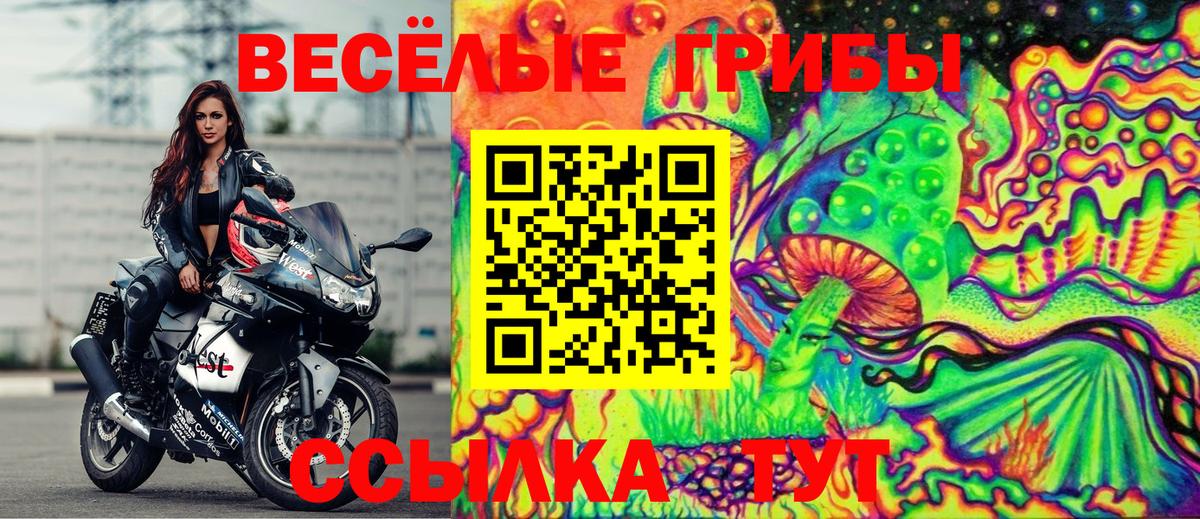 Альфа ПВП Кострома