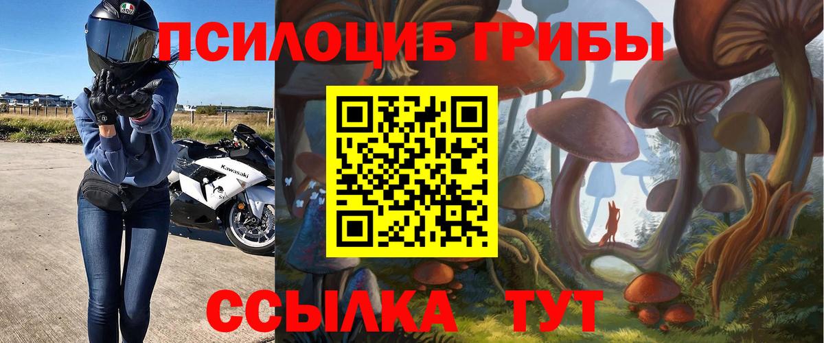Галлюциногенные грибы Psilocybe  Вход с VPN  Галлюциногенные грибы мицелий  Кострома 