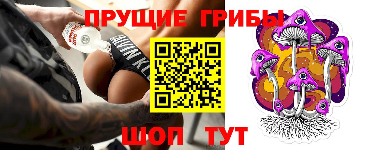Псилоцибиновые грибы Psilocybe Кострома